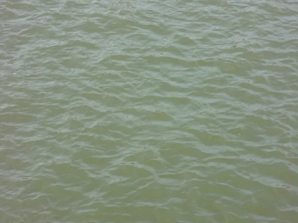 Olive green water of Oakland Harbor — Stock Photo, Image