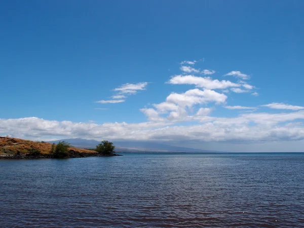 Linea costiera delle acque della costa di Kohala sulla Big Island — Foto Stock