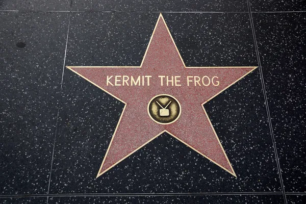 Kermit the Frog Hollywood Star — Stock Photo, Image