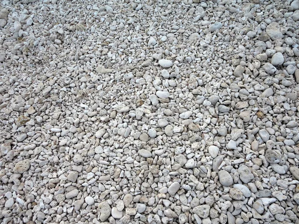 Racimo de pequeñas rocas de coral blanco — Foto de Stock