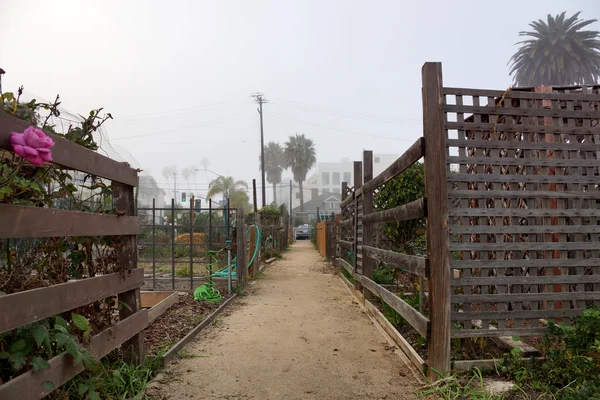 Camino de la suciedad en el jardín comunitario — Foto de Stock