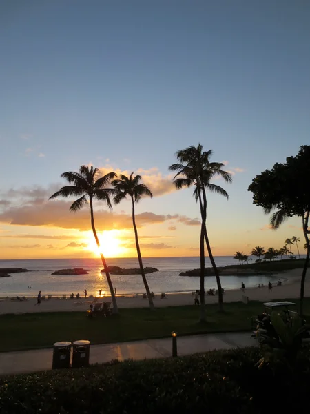 Sunsets on Ko Olina lagoon between coconut trees over the pacifi — Stock Photo, Image