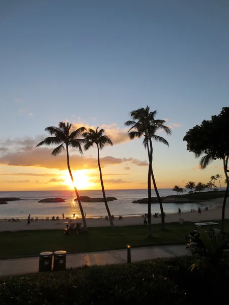 Zonsondergangen op Ko Olina lagune tussen kokosnoot bomen over de pacifi — Stockfoto