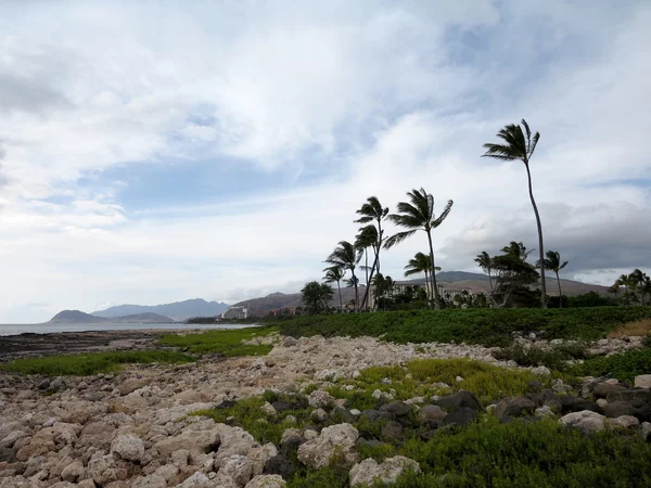 Linha costeira rochosa em Ko Olina — Fotografia de Stock