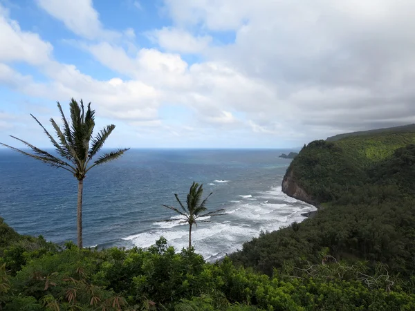 Pololu Valley Lookout — Stockfoto