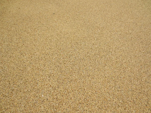 Grains of Kahala Beach Sand — Stock Photo, Image