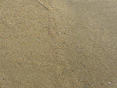 Half Moon Bay kum plaj