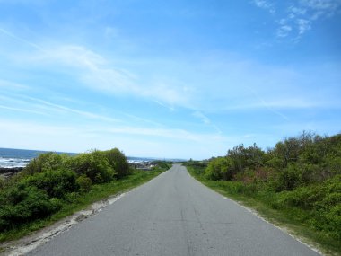 Tepeler Adası yol yolu ile granit kayalık sahil, ağaçlar ve Ah