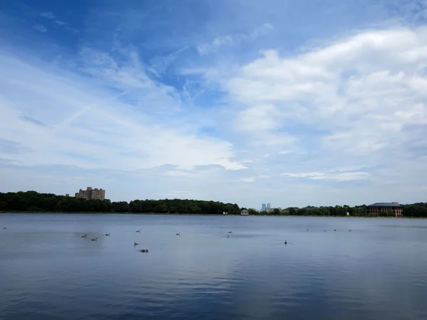 Embalse de Chestnut Hill en el suburbio de Boston —  Fotos de Stock