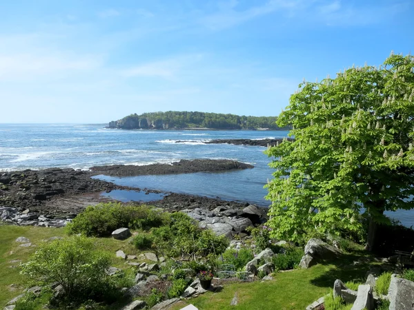 Jardín de árboles en Ryefield Cove en Peaks Island — Foto de Stock