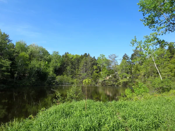 Eisweiher auf Gipfel-Insel — Stockfoto