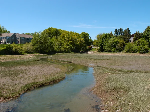 Liten flod creek bland hus — Stockfoto