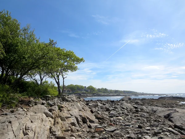 Stenig strand med träd på Ryefield Cove med moln i himlen o — Stockfoto