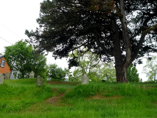 Salem, Masachusetts mezarlıkta ağacında — Stok fotoğraf