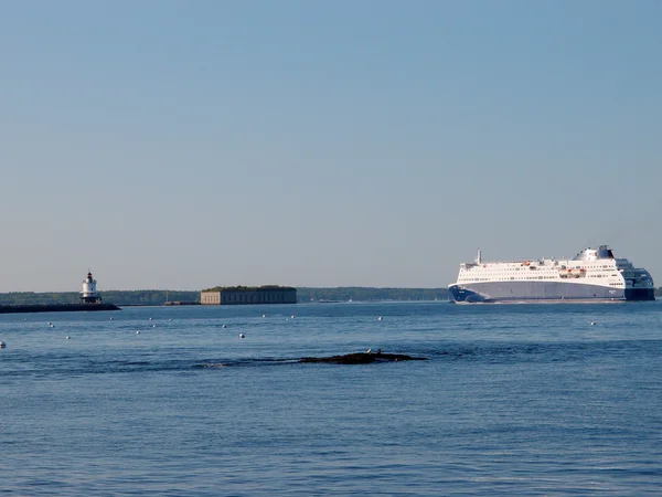 Nova star cruises segel i portland med portland vågbrytaren l — Stockfoto