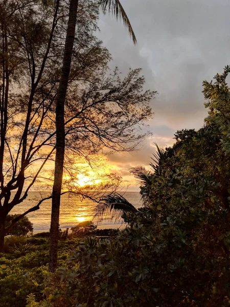 Plaża Waimanalo Wschody Słońca Wśród Drzew Oahu Hawaje — Zdjęcie stockowe