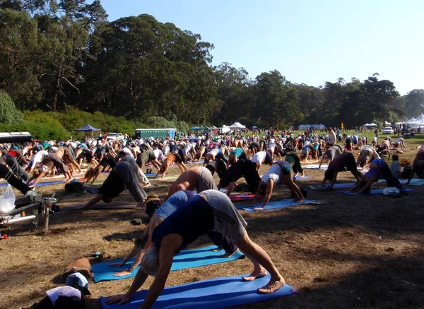 San Francisco September 2008 People Doing Downward Facing Dog Posing — Stock Photo, Image