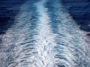 Pasifik Okyanusu 'ndaki Büyük Gemi Gezisi' nden horoz kuyruğunun yakın çekimi..