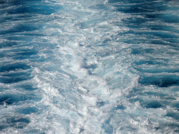 Pasifik Okyanusu Ndaki Büyük Gemi Gezisi Nden Horoz Kuyruğunun Yakın — Stok fotoğraf