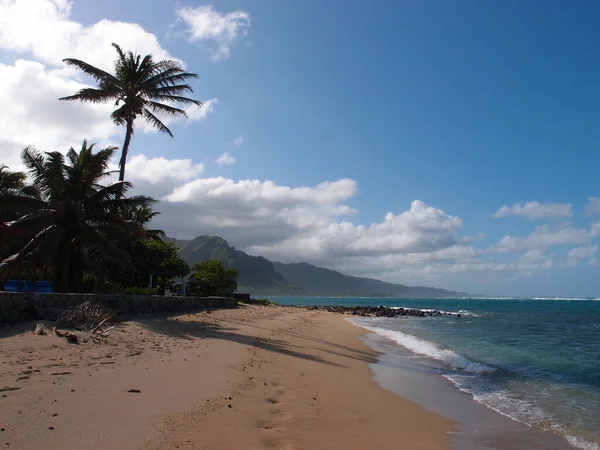 Swanzy Beach Park, Kaaawa, Oahu Hawaii 'de Hindistan cevizi ağaçlarıyla dalgalar kumsalda kopuyor..