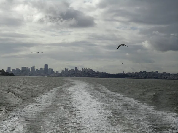 Large Ferry Boat Rooster Tail San Francisco Bay Seagulls Air — Foto Stock