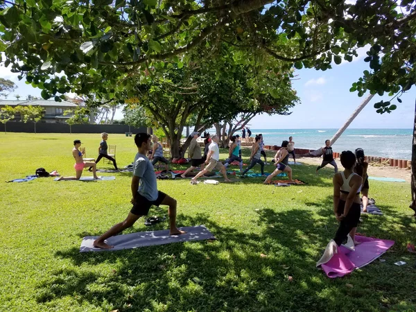 Waikiki Haziran 2017 Nsanlar Leahi Beach Park Yoga Sınıfında Warrior — Stok fotoğraf