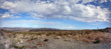 Dry empty field with powerline, grass and bushes in the Nevada desert.