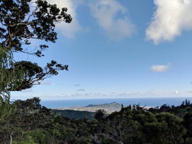 Honolulu şehri, Elmas 'tan Manoa' ya Kaimuki, Kahala ve okyanus manzarasıyla Oahu 'da güzel bir günde, yüksek dağlarda, ön planda yüksek ağaçlarla birlikte yüksek bir yerden görülebilir..  