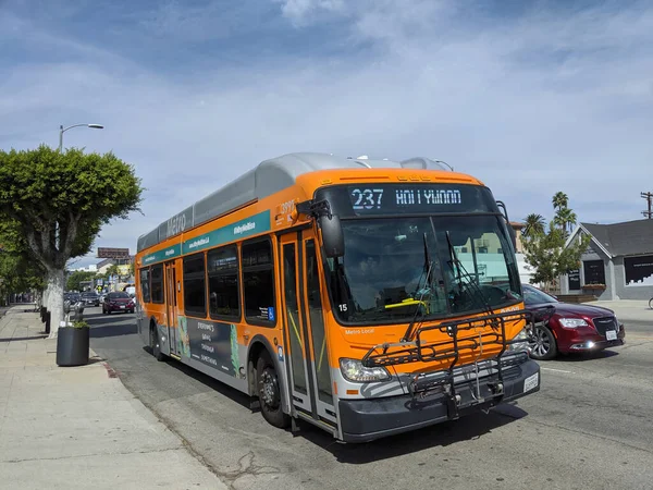 Kalifornien Usa Oktober 2019 Orange Metro Bus 237 Hollywood Rullar — Stockfoto