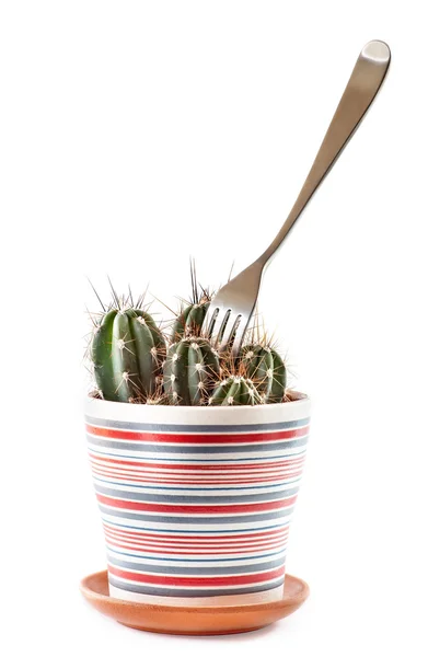 Widelec w Kaktus — Zdjęcie stockowe