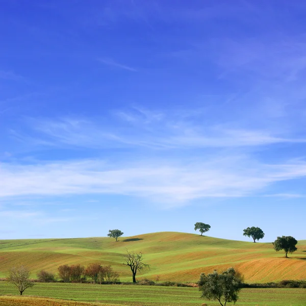 Paisaje con colinas —  Fotos de Stock