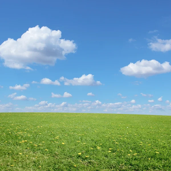 Grüne Graslandschaft — Stockfoto