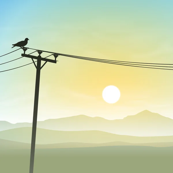 Bird on Telephone Lines — Stock Vector