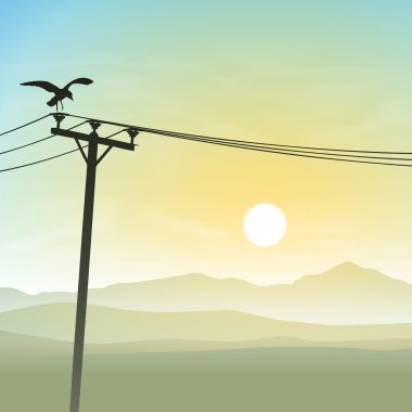 telefon hattı üzerinde bir kuş