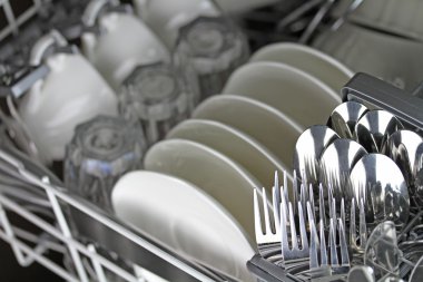 temiz dishware