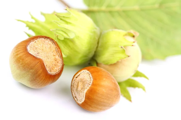 Hazelnuts — Stock Photo, Image