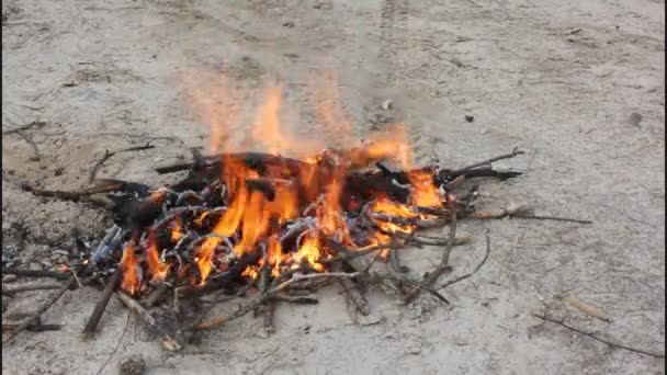 A lángok egy máglya. — Stock videók