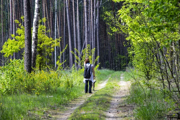 Woman Takes Walk Woods Walking Forest Accompanied Positive Emotions Improved — Stock Photo, Image