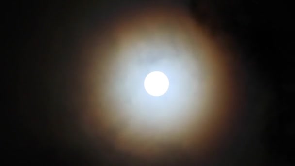 Movement Clouds Background Full Moon Presence Small Snowflakes Lower Atmosphere — Stock Video