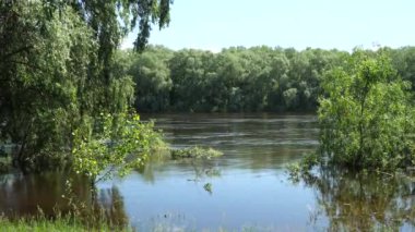 Sel sırasında Desna Nehri. İlkbaharda Desna Nehri 'nin sakin durgun suları. Düz bir nehrin yavaş akışının insan ruhu üzerindeki sakinleştirici etkisi..