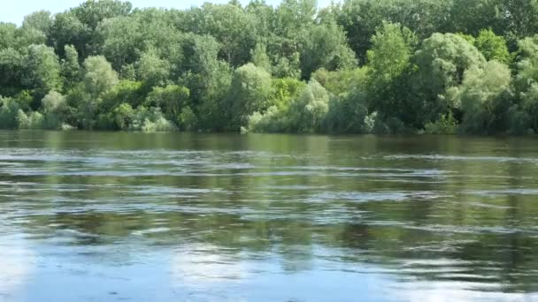 Sel Sırasında Desna Nehri Lkbaharda Desna Nehri Nin Sakin Durgun — Stok video