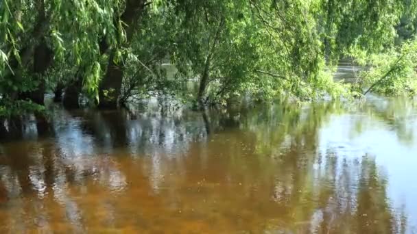 Effetto Calmante Sulla Psiche Umana Del Lento Scorrere Fiume Pianeggiante — Video Stock