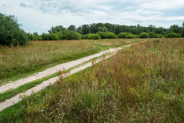 Meadow Yolu. Bahar ve yaz, çayırların, çiçeklerin ve bitkilerin açtığı zamandır..