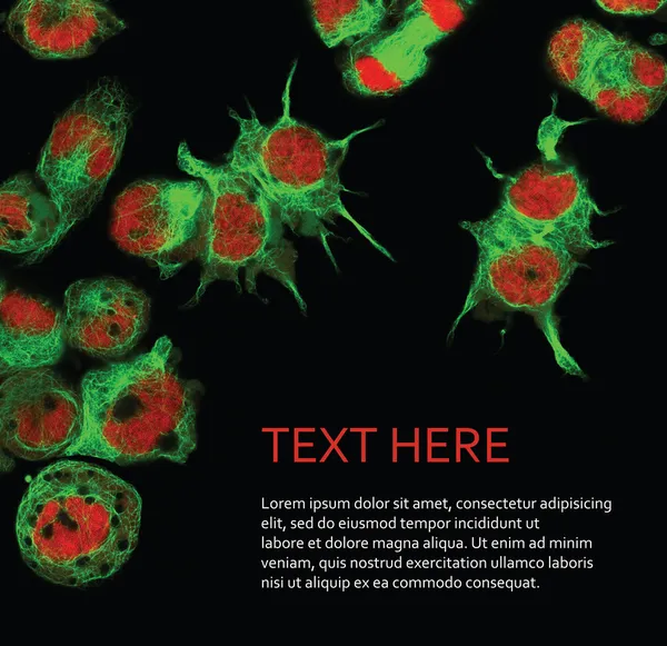 Floresan kanser hücrelerinin arka plan