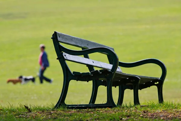 Banc de parc et promeneur de chien — Photo