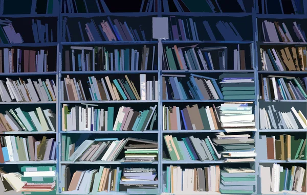 Книжкові полиці повні книг — стокове фото