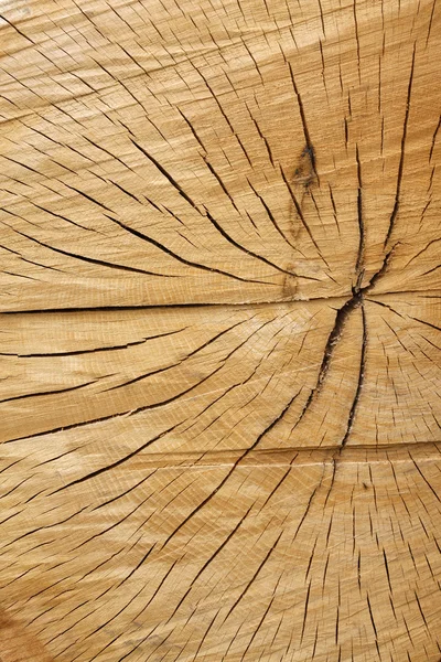 Cracked wood texture — Stock Photo, Image