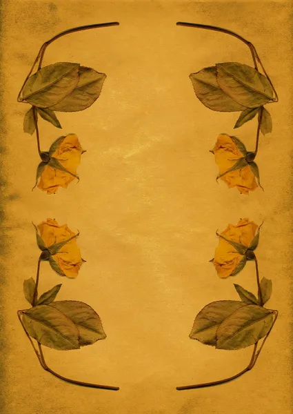 Retro bordure fleur jaune — Photo