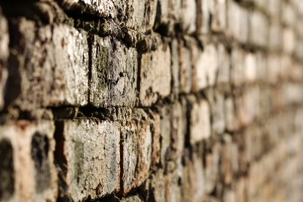 Oude bakstenen muur, selectieve aandacht — Stockfoto