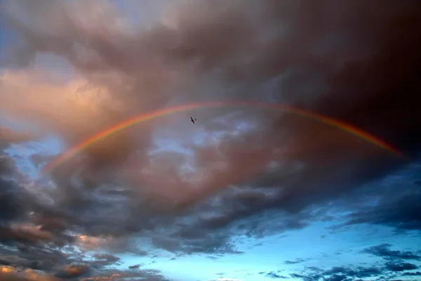 Rainbow and light aircraft — Stock Photo, Image